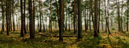 436955 (a): :3200x1200